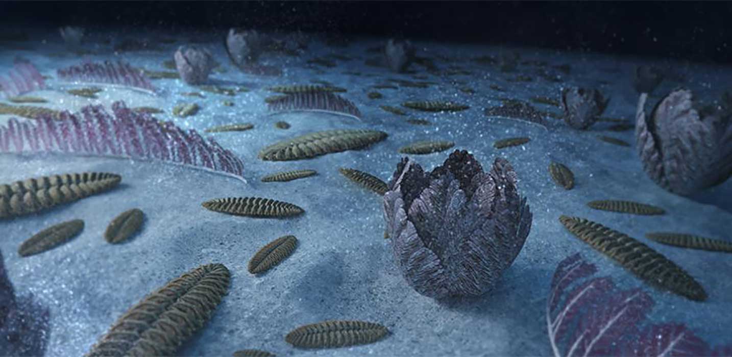 How Earth’s Ancient Sea Creatures Shaped Change: Current Affairs in Hindi for Today’s Q&A